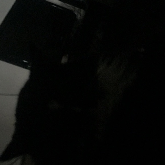 Meet your Posher, Robert - Picture 1 of 1